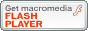 get_flash